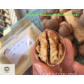 Kernel di noce cinese di grado AAA pezzi leggeri